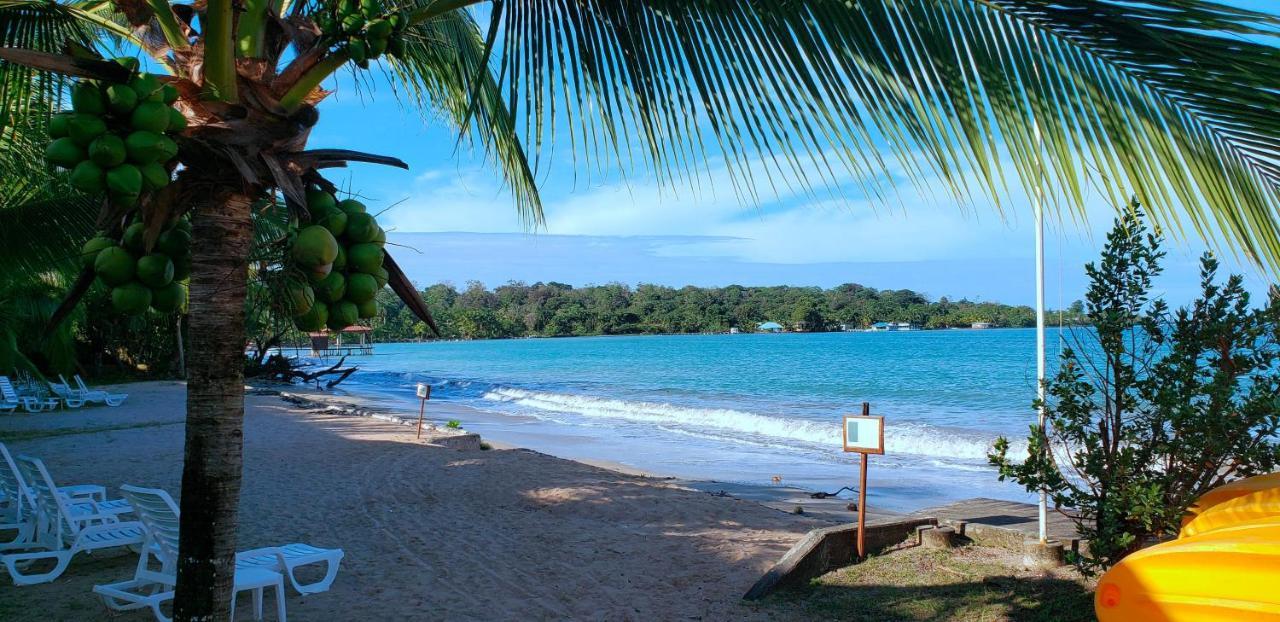 Playa Tortuga Hotel And Beach Resort بوكاس تاون المظهر الخارجي الصورة