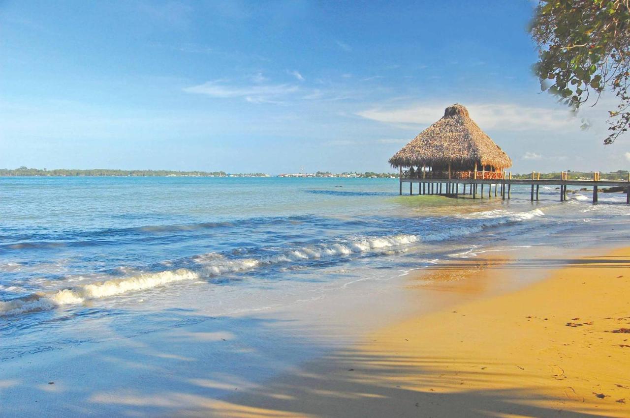 Playa Tortuga Hotel And Beach Resort بوكاس تاون المرافق الصورة